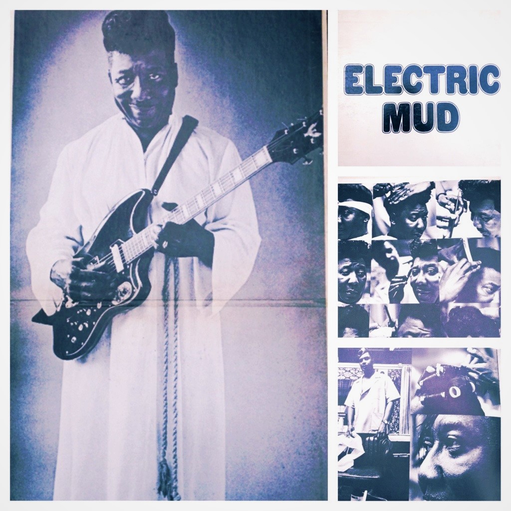 Muddy Waters--Electric Mud