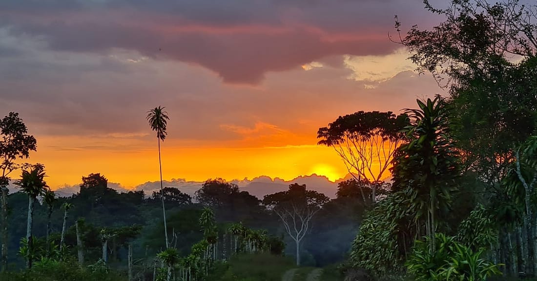 Tierra Longo Mai School in the jungle at sunset