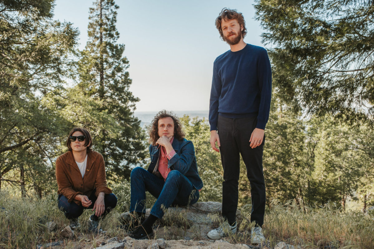The three members of Triptides standing or sitting on the grass at the top of a mountain with pine trees and brush