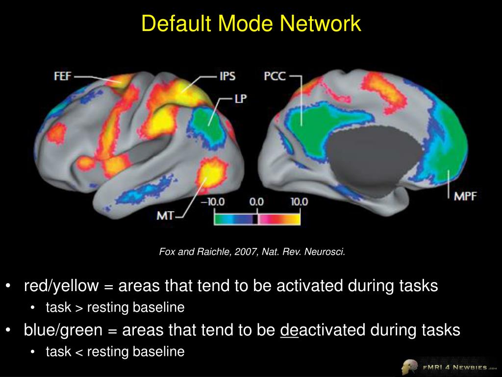 Chart showing where the Default Mode Network is located in the brain with colorful indicators
