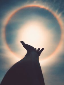 Seek