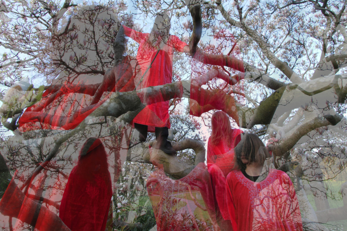 Double-exposed image of Codex Serafini band members wearing red robes and standing in trees