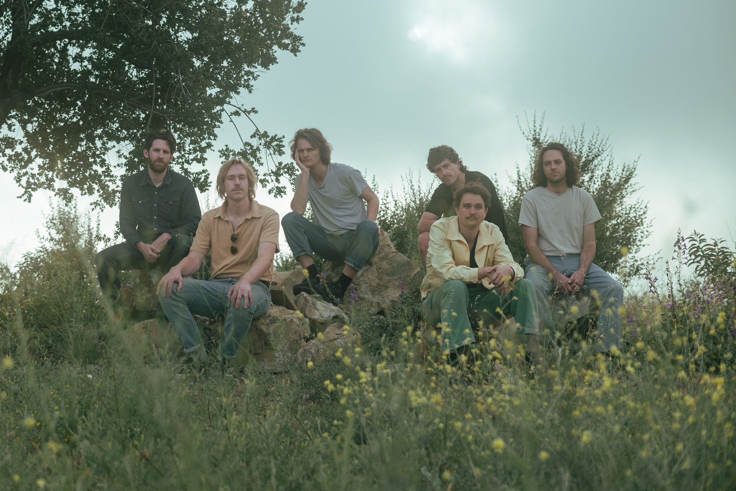 King Gizzard band on a grassy knoll