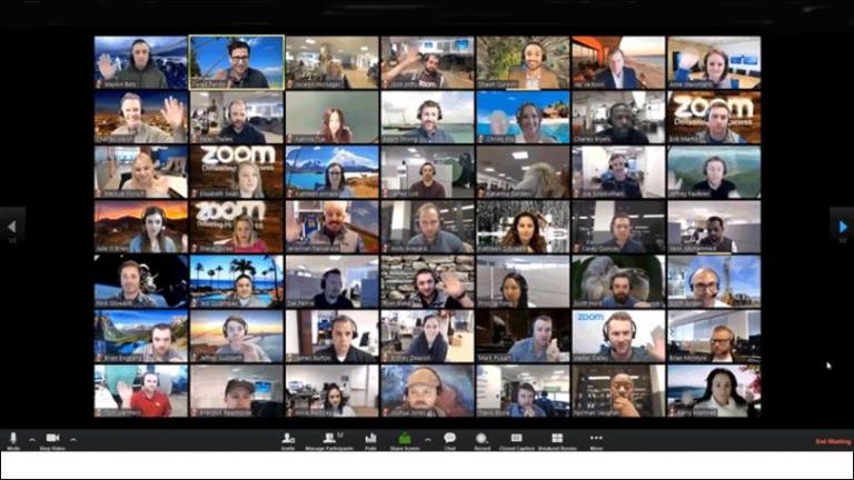 Computer screen showing 49 people on Zoom