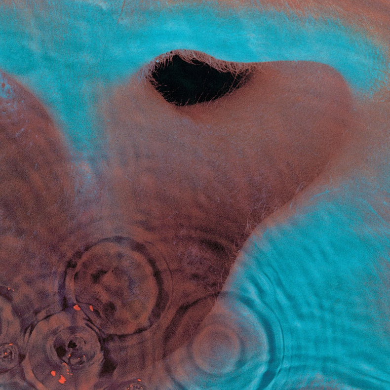 Cover of Pink Floyd album Meddle