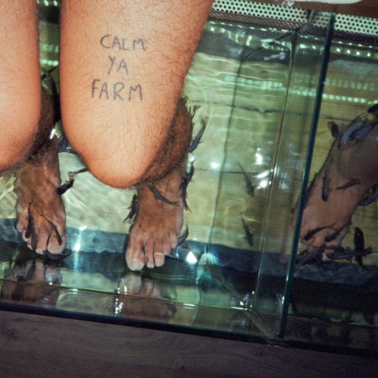 Picture looking down on human thighs with album title Calm Ya Farm written on one thigh