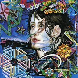 Cover of A Wizard A True Star