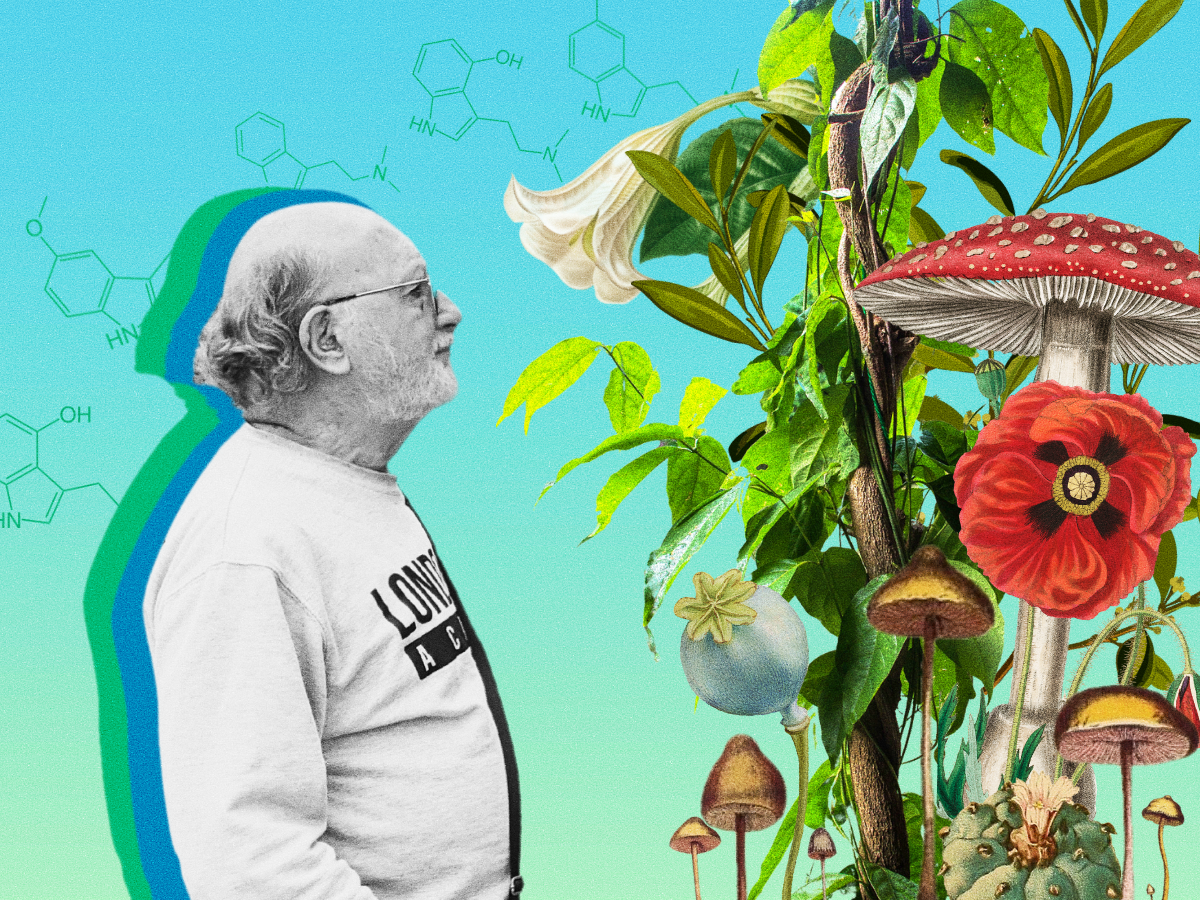 Dennis McKenna profile looking at a bunch of psychoactive plants with light blue background