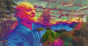Psychedelic image of Dennis McKenna