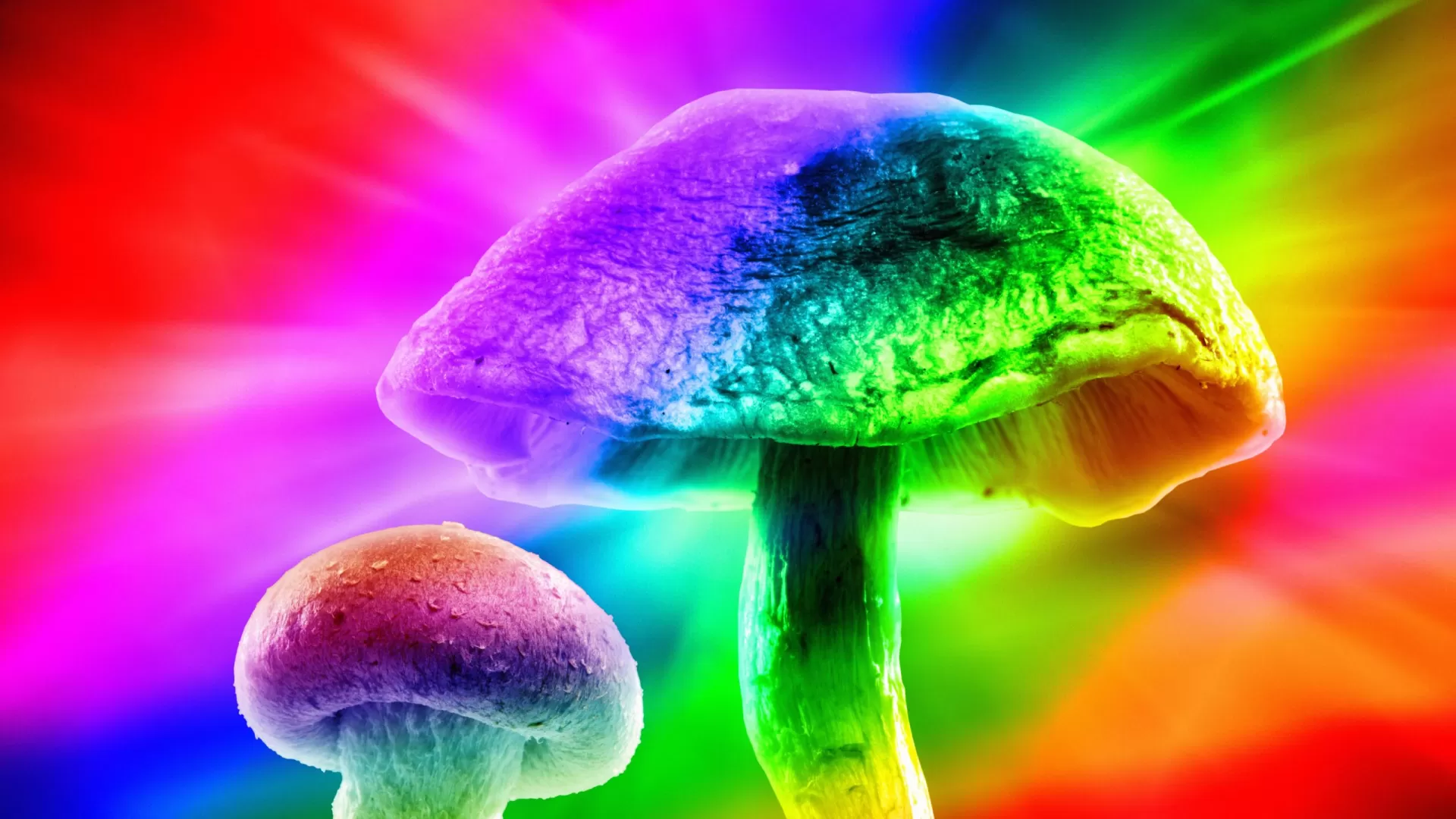 Psilocybin mushrooms with intense colors and flares added