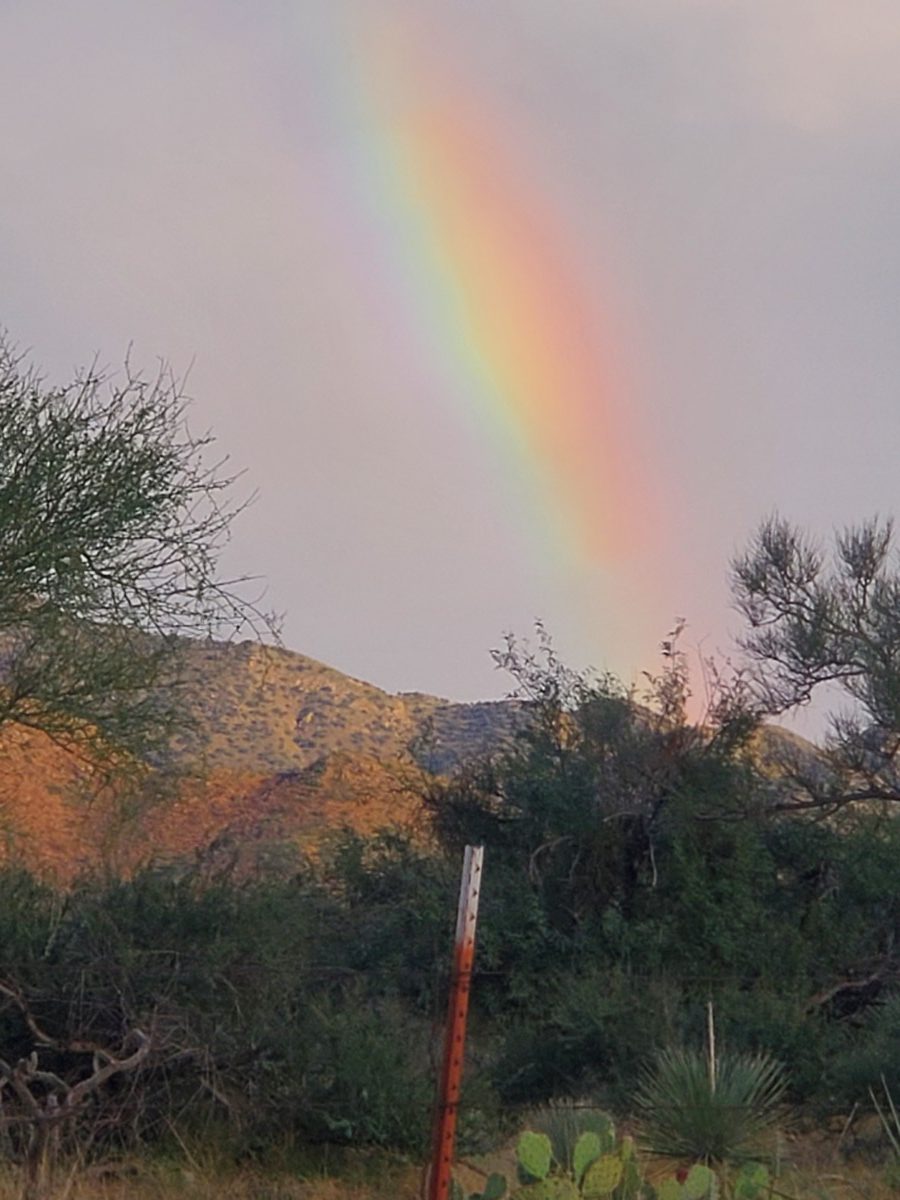 Photo of a rainbow in the cloudy sky with desert brush in the foreground