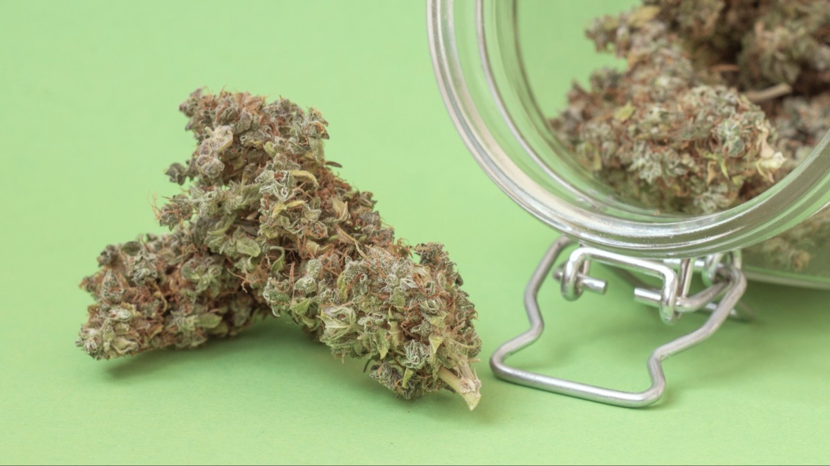 On a light green surface, a bud of marijuana sits next to a glass jar tilted over on its side and full of more marijuana buds.