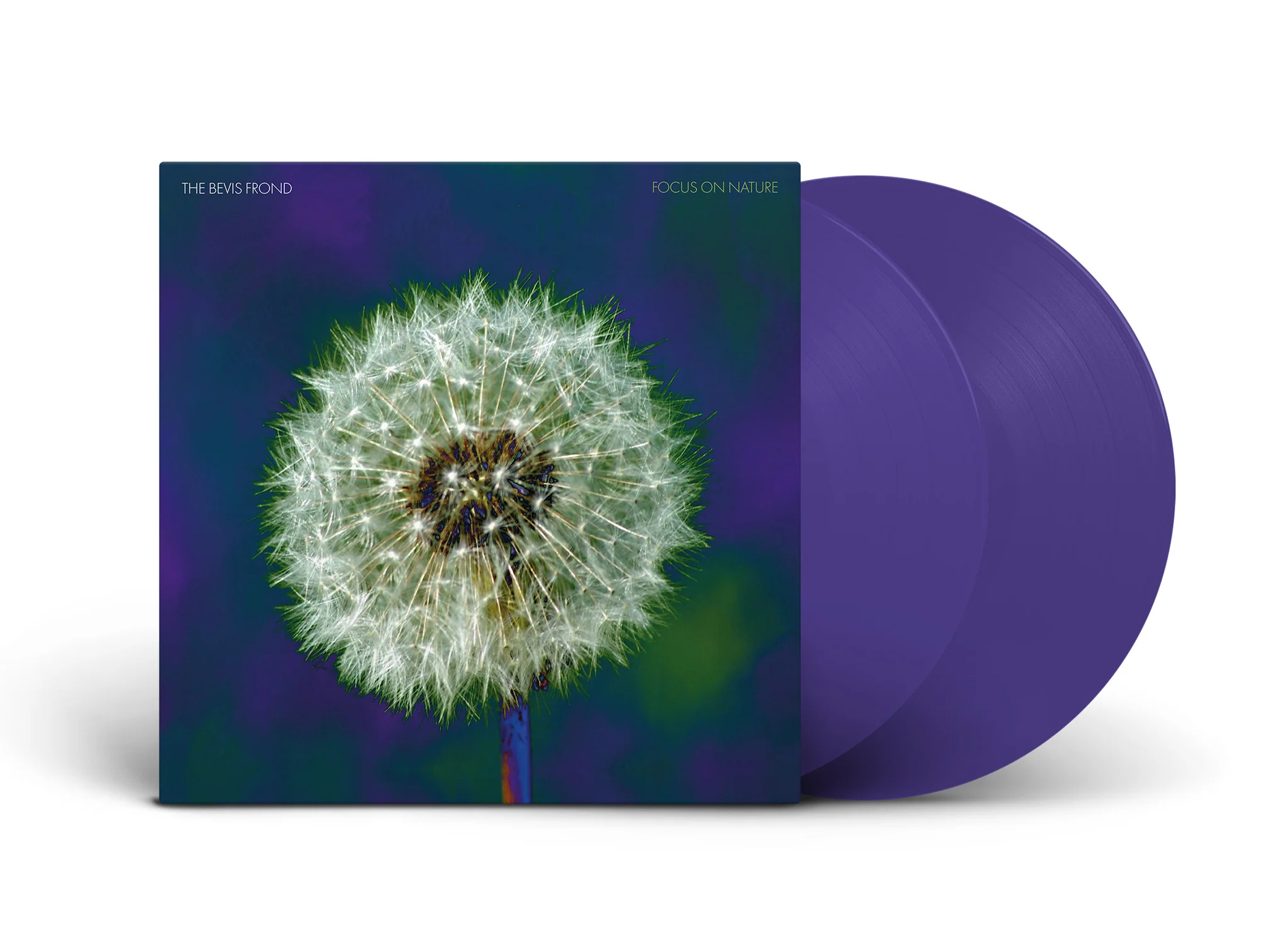 Focus on Nature album on purple vinyl