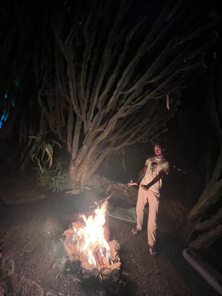 Photo of a man holding a branch over a fire in a fire pit at night with cacti in the background