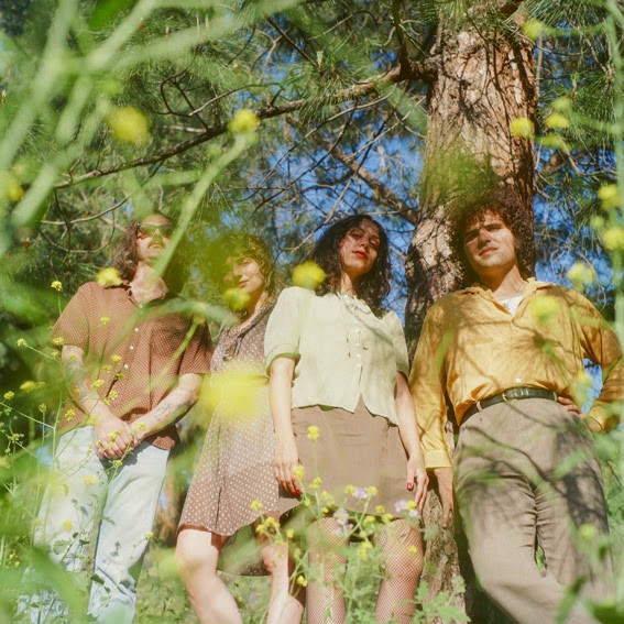 Four members of the band Color Green standing outside in front of a tree with grass in the foreground