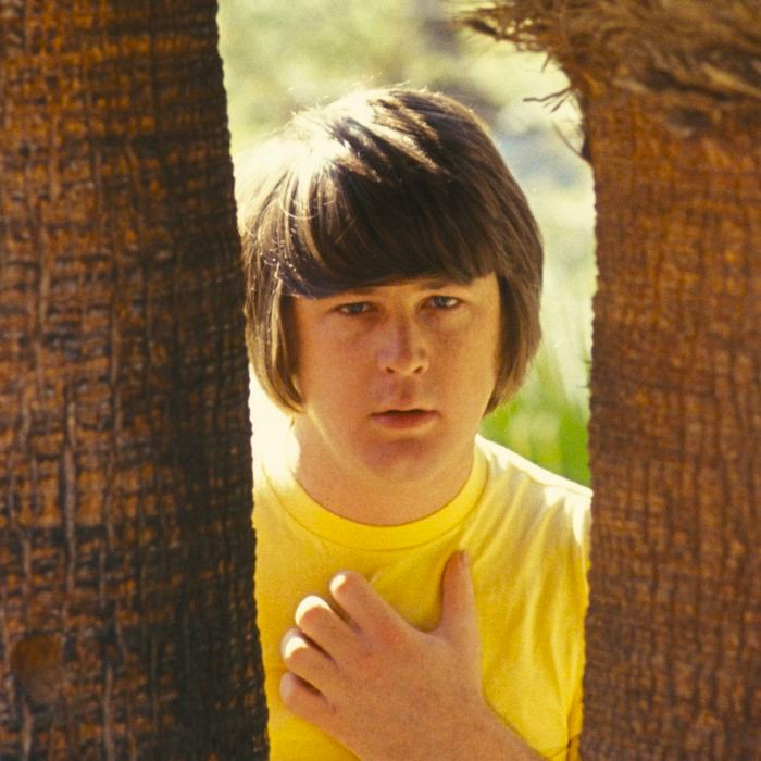 Brian Wilson in yellow shirt standing in the middle of two palm trees