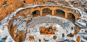 The Great Hall of Wynterlyn by Bill K.