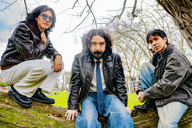 Three Asian men in jeans and dark jackets sitting on a large tree branch in a grassy field