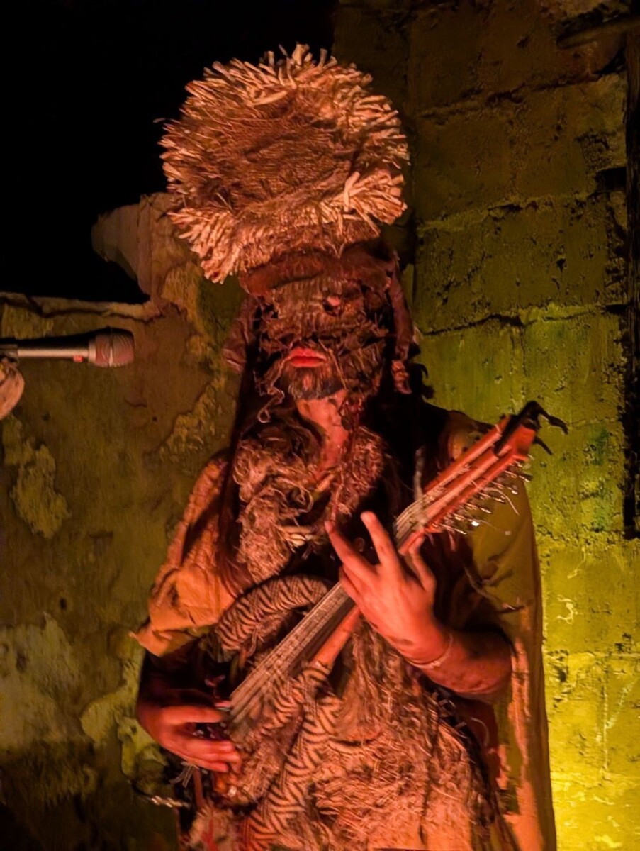 Musician in strange otherwordly garb playing a string instrument